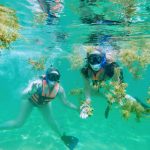 private excursions tulum private tours tulum Playa del Carmen Custom Tours