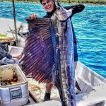 Catch blue water spearfishing private tour