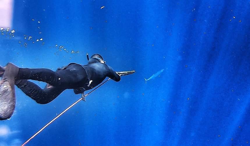 Deep spearfishing private tour