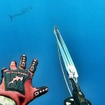 Spearfishing Blue Water Adventures