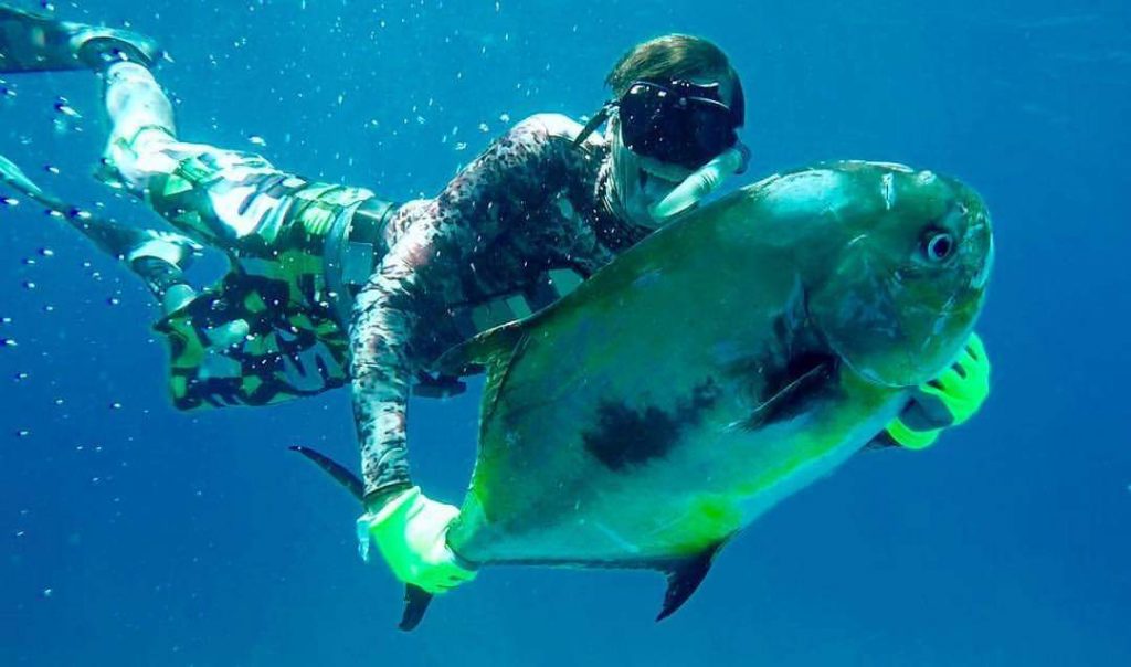 Snorkeling in vibrant waters, a swimmer interacts with marine life, showcasing the serenity of underwater exploration by Carey Tours.