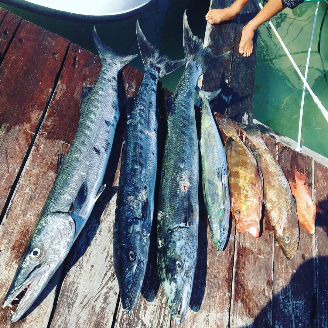 Catch of the day spearfishing private tour