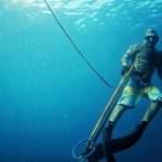 Spearfishing Trips Playa del carmen Tulum Riviera Maya