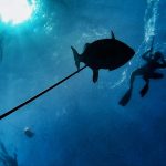 Spearfishing Trips Playa del carmen Tulum Riviera Maya