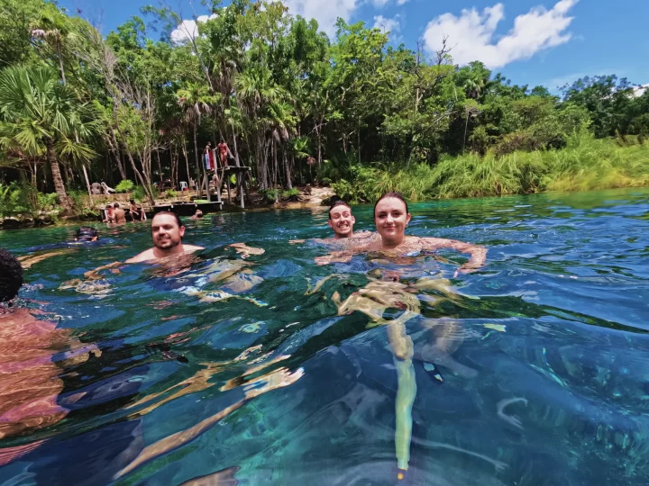 Guests enjoying a refreshing swim in a serene cenote surrounded by lush jungle during a Tulum private tour by Carey Tours
