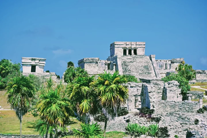 Ancient ruins surrounded by lush greenery, showcasing Tulum's archaeological site on a bright day by Carey Tours