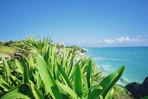 Carey Private Tours Tulum and Playa del Carmen