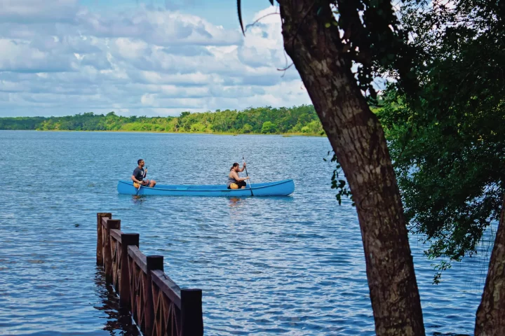 A serene moment of guests paddling in a canoe on a tranquil lagoon surrounded by lush jungle, provided by Carey Tours.