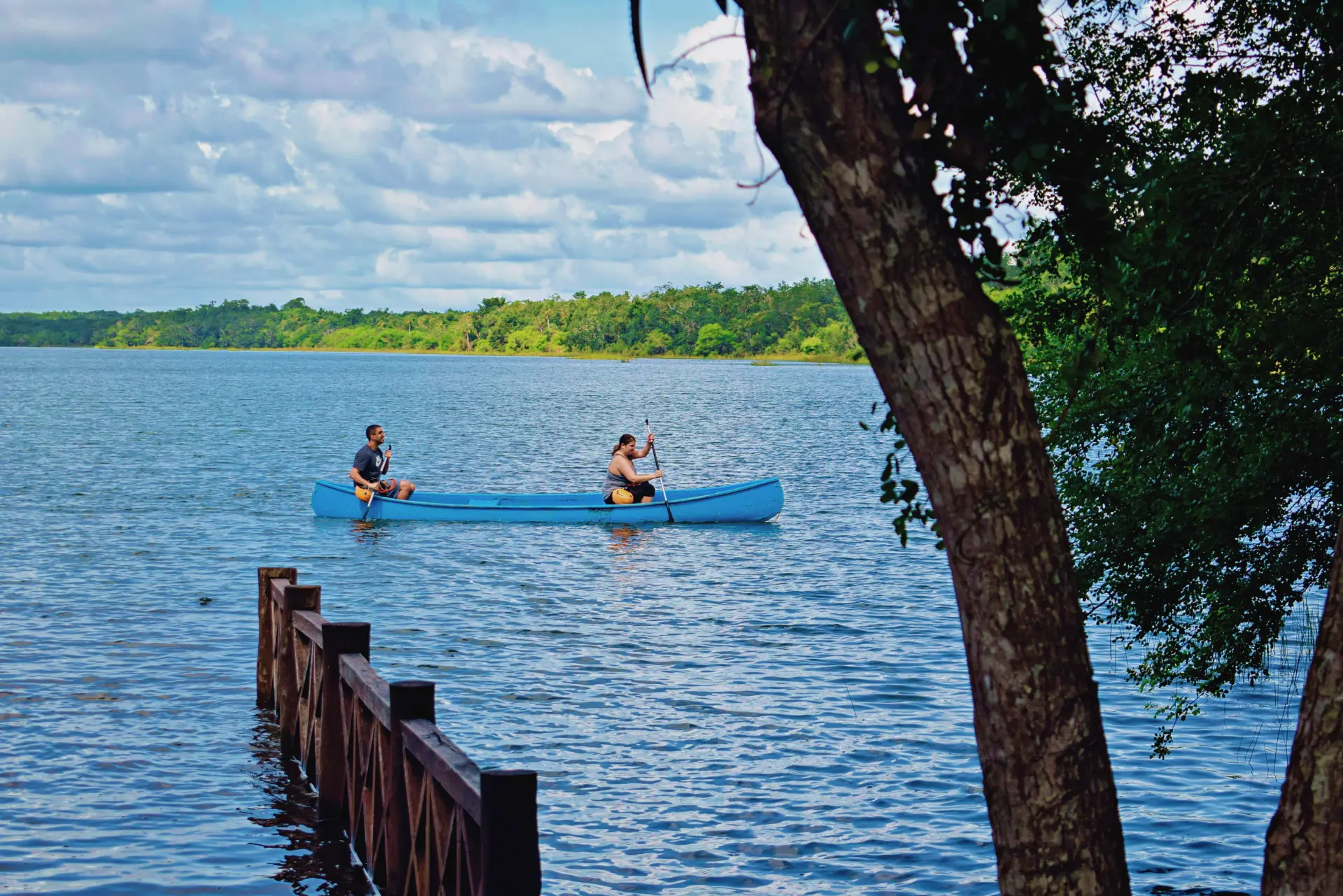 A serene moment of guests paddling in a canoe on a tranquil lagoon surrounded by lush jungle, provided by Carey Tours.