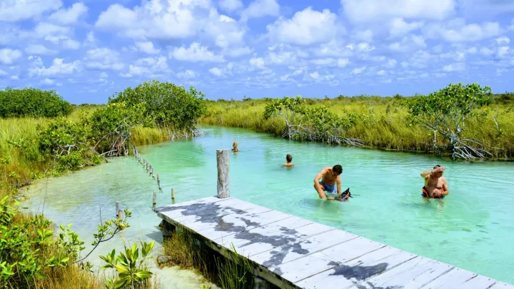 Guests immerse themselves in a serene lagoon surrounded by lush vegetation, enjoying a private tour experience by Carey Tours.