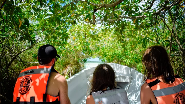 Exploring the lush mangrove waterways on a private tour near Tulum, guided by local experts from Carey Tours.