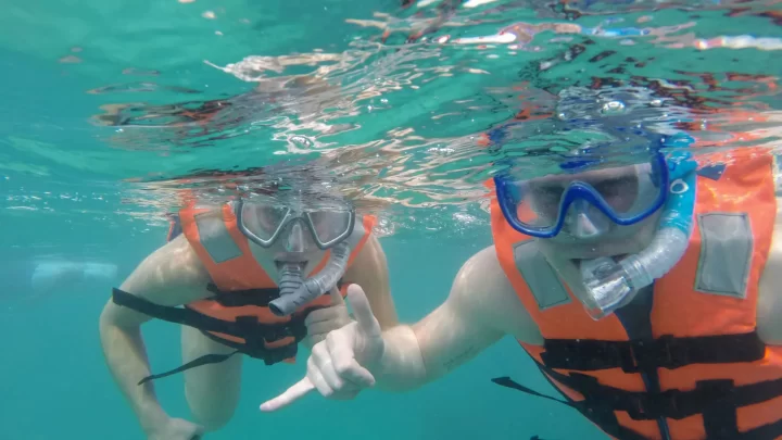 Snorkeling in vibrant waters with a guided group, exploring marine life near a coral reef by Carey Tours.