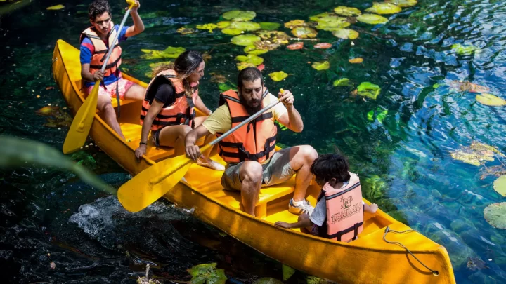 Group enjoying a serene kayak tour on a tranquil lagoon, surrounded by lush greenery, provided by Carey Tours.