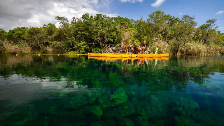 Group of travelers enjoying a serene kayaking experience on a tranquil lagoon surrounded by lush jungle by Carey Tours.